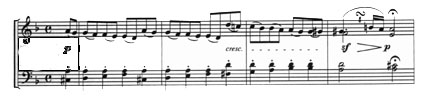 24fig